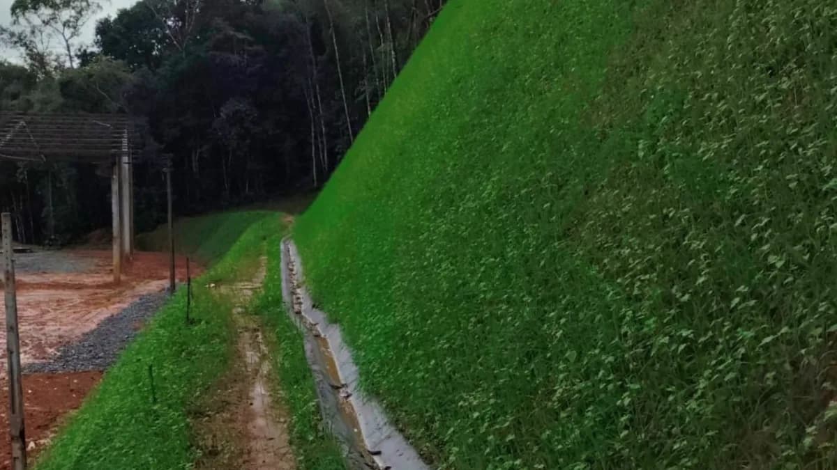 Hidroplantio: a evolução da hidrossemeadura para recuperação de áreas degradadas