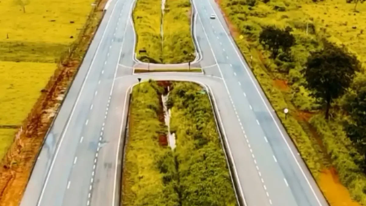 Hidroplantio® e Grama Líquida® em obras rodoviárias: Como a cobertura vegetal melhora a estética e a segurança nas estradas