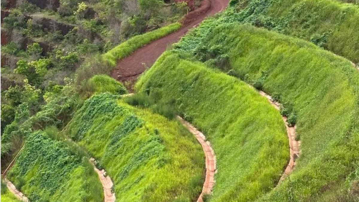Hidroplantio para recuperação de áreas degradadas em mineradoras