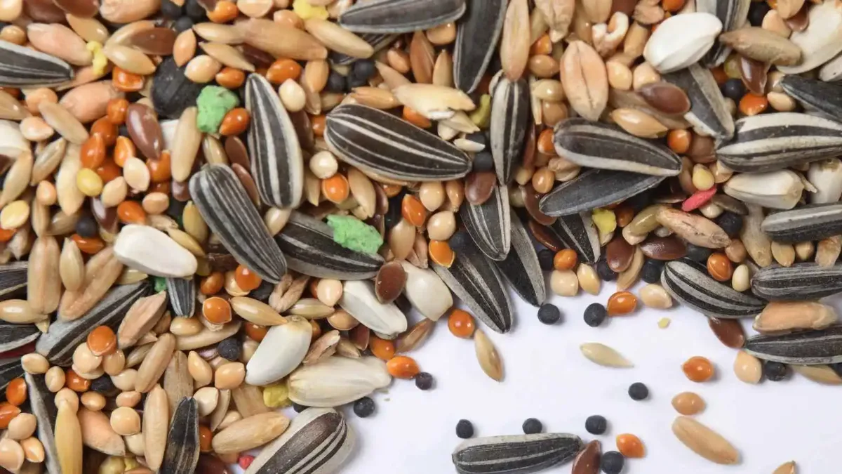 Mix de sementes: espécies e funções na recuperação de áreas degradadas