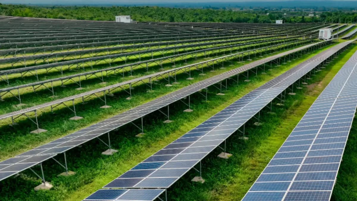O papel da cobertura vegetal em usinas fotovoltaicas
