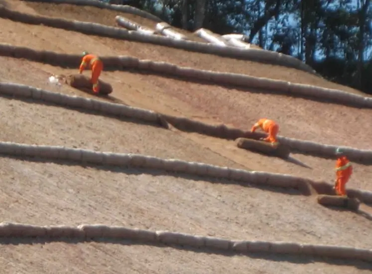 Homens trabalhando com aplicação de manta fibra de coco para aplicação de Hidrossemeadura em talude