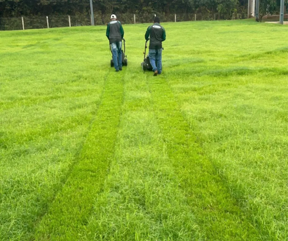 Homens realizando a primeira poda em gramado de campo de futebol profissional em Sorriso/MT