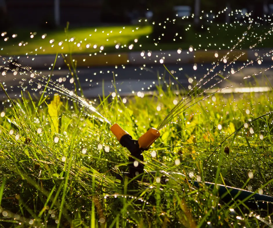 Hidrossemeadura de gramíneas verdes sendo molhada com água de irrigador.