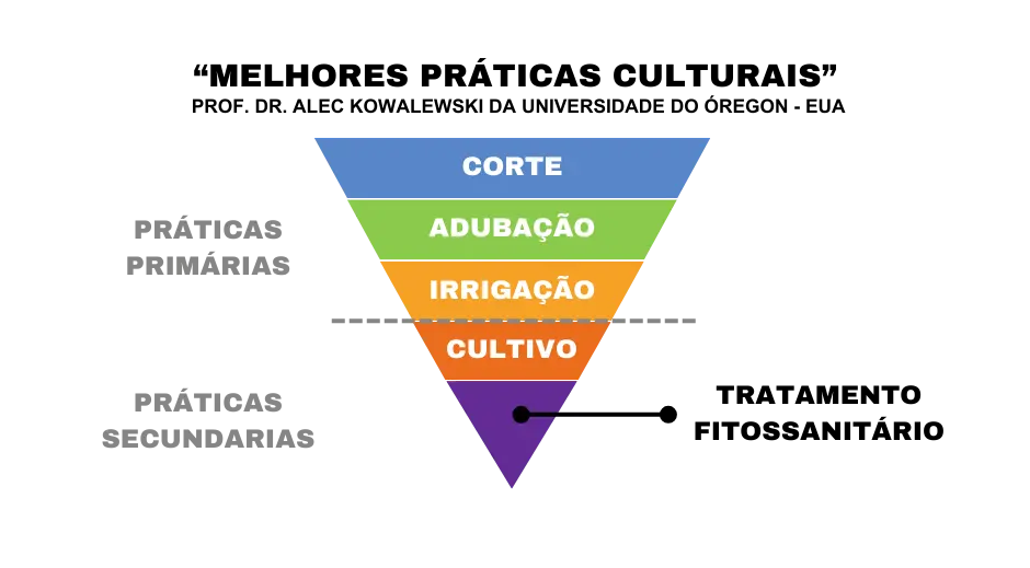 Imagem ilustrativa da pirâmide invertida dos cuidados mais importantes para se ter um gramado saudável