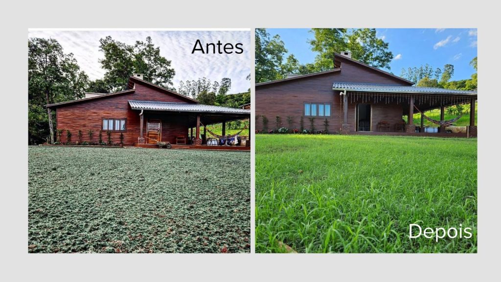 Antes e depois de uma aplicação de Grama Líquida, método derivado da hidrossemeadura, para formação de jardim residencial.